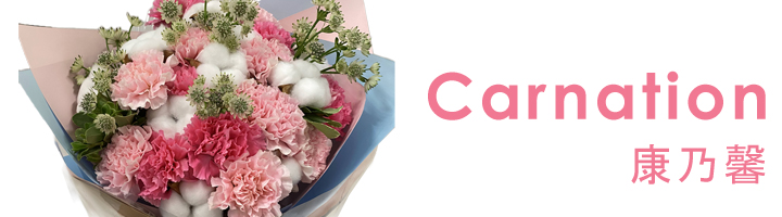 Carnation Bouquet