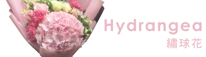 Hydrangea Bouquet