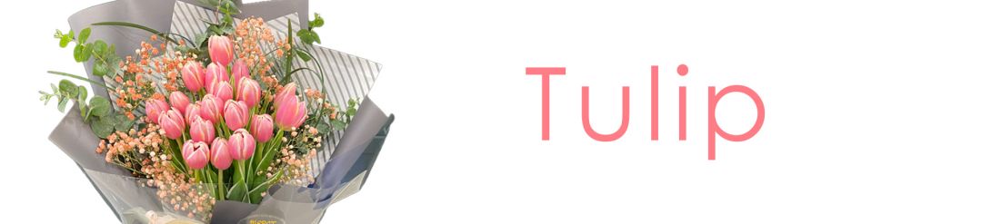 Tulip Bouquet